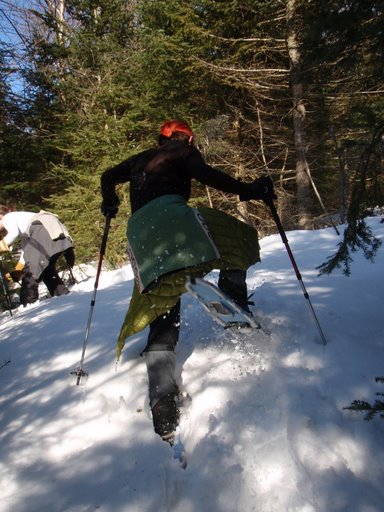Poles used on snowshoeing trip in deep snow.